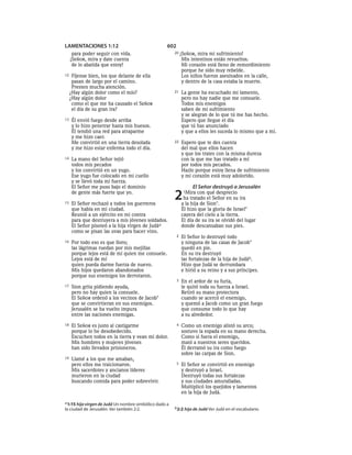 Spanish bible 80__old_testament