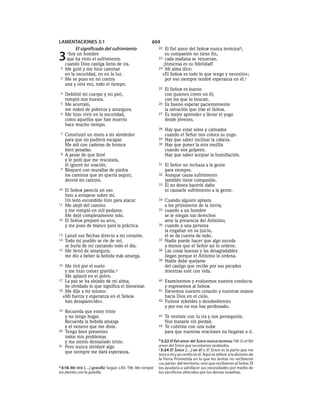 Spanish bible 80__old_testament