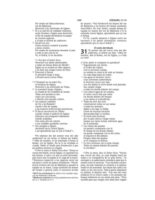 Spanish bible 80__old_testament