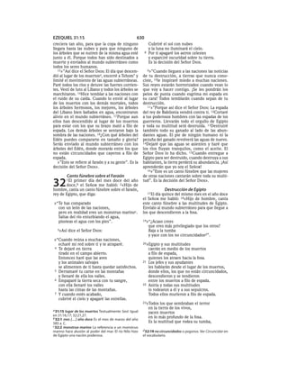 Spanish bible 80__old_testament