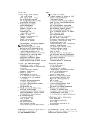 Spanish bible 80__old_testament