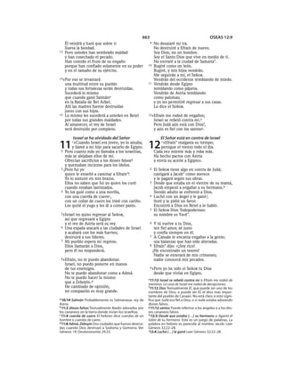 Spanish bible 80__old_testament