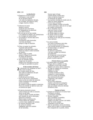 Spanish bible 80__old_testament