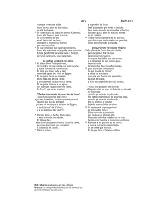 Spanish bible 80__old_testament