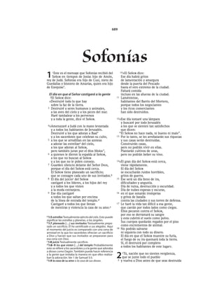 Spanish bible 80__old_testament