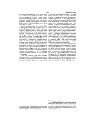 Spanish bible 80__old_testament