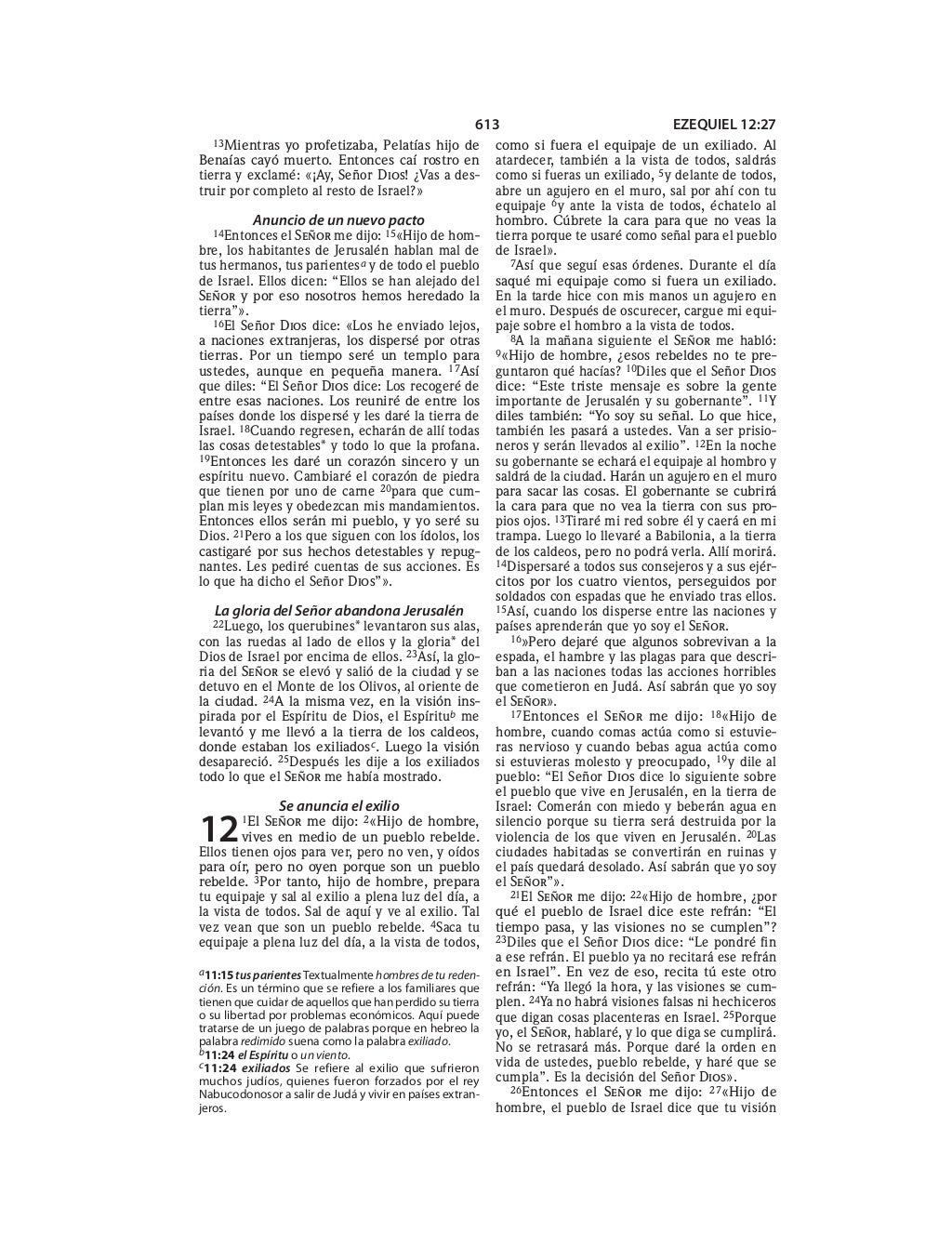 Spanish bible 80__old_testament