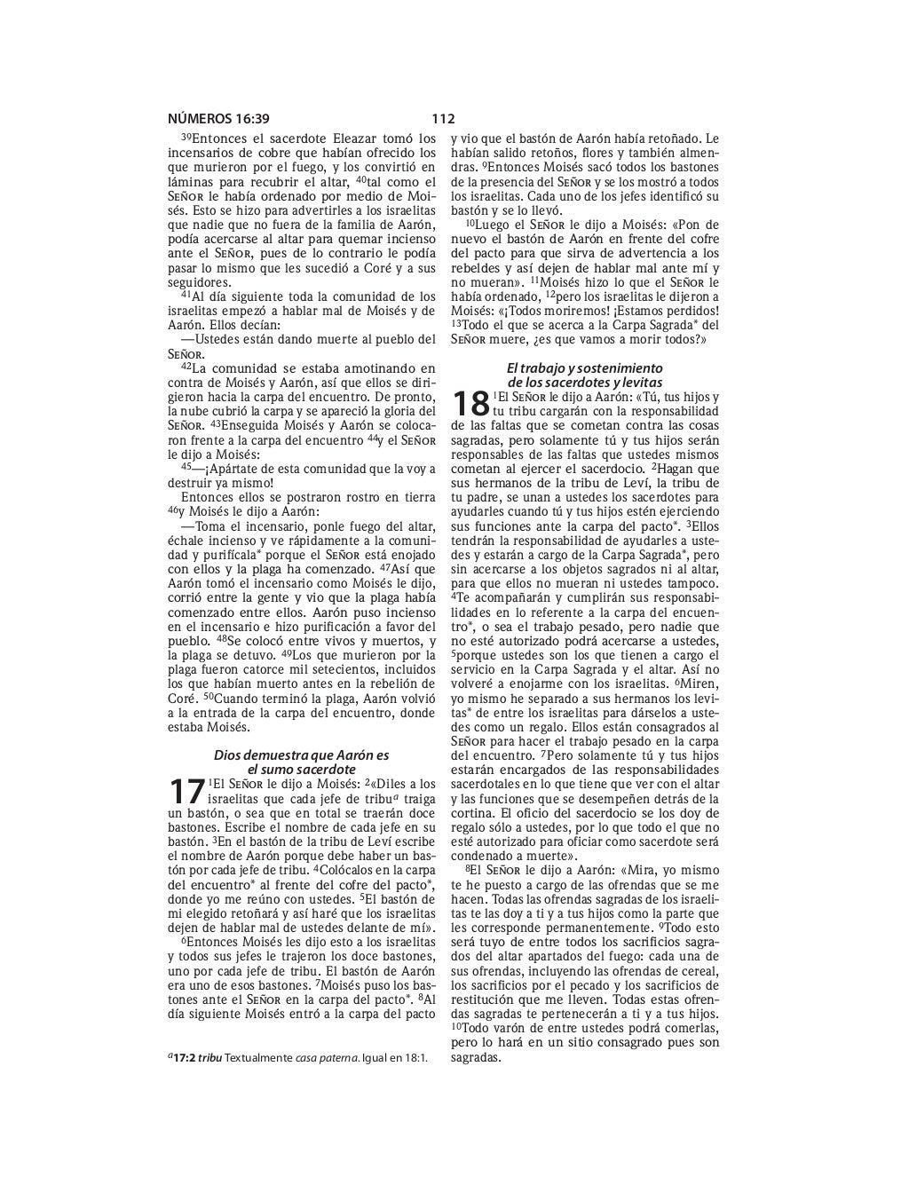 Spanish bible old testament