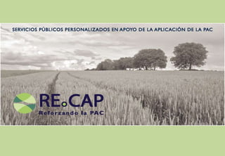 RECAP Horizon 2020 Project - Spanish Brochure