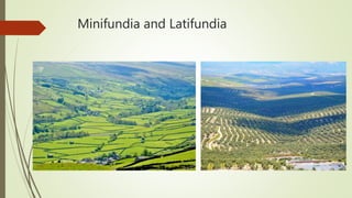 Minifundia and Latifundia
 