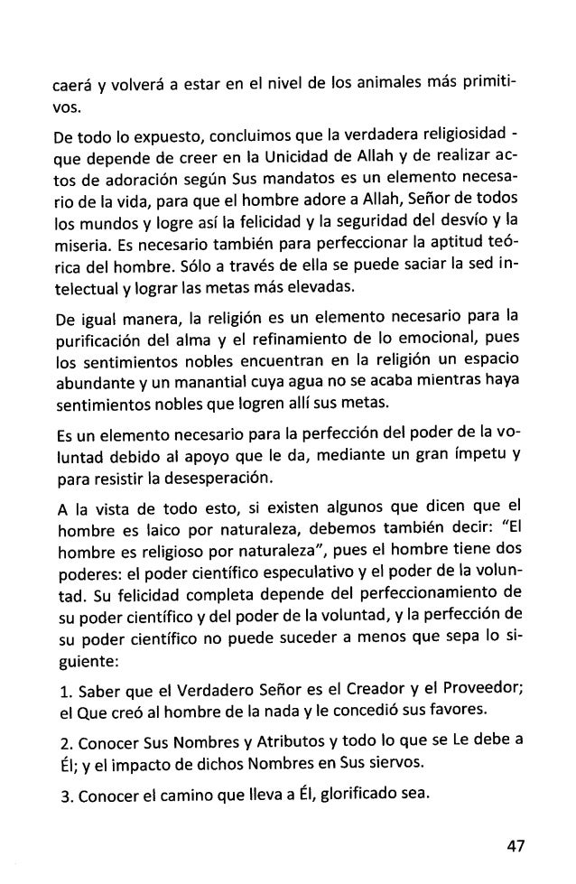 Spanish El Islam Principios Y Fundamentos