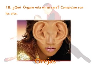 19. ¿Qué Órgano esta en su cara? Consejo:no son
los ojos.
Orejas
 