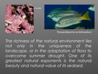 Corals




                          Parapristipoma octolineatum


The richness of the natural environment lies
not only in the uniqueness of the
landscape, or in the adaptation of flora to
overcome summer drought. One of its
greatest natural exponents is the natural
beauty and natural value of its seabed.
 