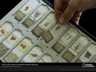 Spanish Flu Alice.Im