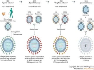 Spanish Flu Alice.Im