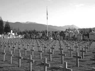 Spanish Flu Alice.Im