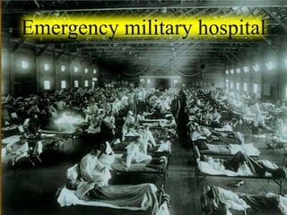 Spanish Flu Alice.Im