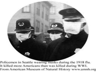 Spanish Flu Alice.Im