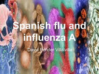 Spanish flu and
influenza A
David Pender Villalvilla

 