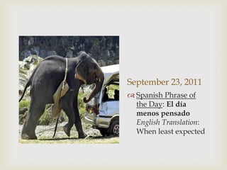 September 25, 2011Spanish Phrase of the Day: De vez en cuandoEnglish Translation: From time to timeSeptember 26, 2011Spanish Phrase of the Day: Tener en la menteEnglish Translation: To have in mindSeptember 27, 2011Spanish Phrase of the Day: Al cabo deEnglish Translation: FinallySeptember 28, 2011Spanish Phrase of the Day: TenerrazónEnglish Translation: To be right