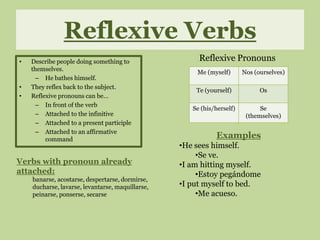 Nos comimos ensalada. 