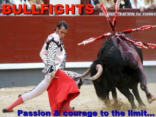 BULLFIGHTS Passion & courage   to the limit… 