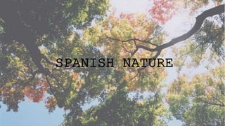 SPANISH NATURE
 