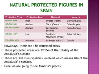 Protection Type   Protection level        National            Almería
    NATIONAL PARK     High               Ordesa (North)      Sierra Nevada
    NATURAL PARK      Medium             Turia (Center)      Cabo de gata
    NATURAL RESERVE   Medium             Las Palomas         Punta Entinas
                                         (Island)
    NATURAL SOPT      Low                San Pedro           Balsa del Sapo
                                         Mountains (West)
    PERI-URBAN AREA   Minimun            La Pulgosa (East)   Castala

   Nowadays, there are 150 protected areas
   These protected areas are 19’35% of the totality of the
    Andalusia’s surface
   There are 308 municipalities involved which means 40% of the
    Andalusia’ s surface.
   Here we are going to see Almería’s places:
 