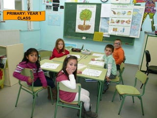 PRIMARY: YEAR 1 CLASS 