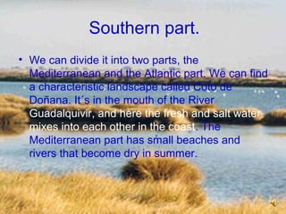 Southern part.
• We can divide it into two parts, the
Mediterranean and the Atlantic part. We can find
a characteristic landscape called Coto de
Doñana. It´s in the mouth of the River
Guadalquivir, and here the fresh and salt water
mixes into each other in the coast. The
Mediterranean part has small beaches and
rivers that become dry in summer.
 