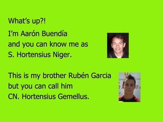 What’s up?!
I’m Aarón Buendía
and you can know me as
S. Hortensius Niger.

This is my brother Rubén Garcia
but you can call him
CN. Hortensius Gemellus.
 