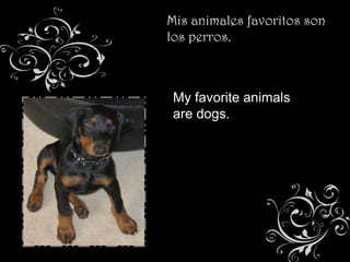 Mis animales favoritos son
los perros.



 My favorite animals
 are dogs.
 
