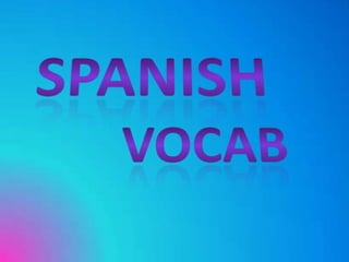 Spanish vocab ch 4
