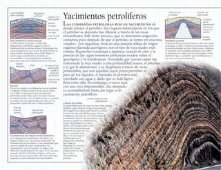 Yacimientos petrolíferos
DIAPIROS SALINOS
Cuando se forma una gran masa de sal en las capas
profundas, el calor y la presión provocan que la sal
ascienda formando un cono. Estos conos, o diapiros,
se incrustan en los estratos superiores y los parten.
Si atraviesan un estrato de roca permeable, cortan
también el paso al petróleo que esté filtrándose y,
así, crean un nuevo yacimiento.
La capa de roca
impermeable
impide la
migración
del petróleo
Capa de roca
permeable
Petróleo
atrapado
Capa de roca
permeable
Petróleo
atrapado
Plegamiento
anticlinal
YACIMIENTOS DE ORIGEN ESTRATIGRÁFICO
Los plegamientos anticlinales, las fallas y los
diapiros salinos son fenómenos producidos por
movimientos de los estratos, y los yacimientos que
crean se clasifican como estructurales. Los
estratigráficos, por el contrario, se deben a las
diferentes propiedades de las capas. Es el caso, por
ejemplo, de lechos fluviales antiguos en los que
una capa de arena permeable está encerrada entre
esquistos y rocas arcillosas, menos permeables.
FALLAS
De vez en cuando, los estratos de roca se quiebran
y solapan o resbalan entre sí. Es lo que se conoce
como falla. La generación de los yacimientos
petrolíferos en las fallas ocurre de varias maneras.
La mayoría de las veces, las fallas ponen en contacto
un estrato de roca impermeable con otro de roca
permeable a través del cual se filtra el petróleo.
PLEGAMIENTOS ANTICLINALES
Con frecuencia, el petróleo se halla bajo
plegamientos anticlinales, lugares en que el
movimiento de la corteza terrestre ha arqueado las
capas (estratos) de roca. Si uno de estos estratos es
impermeable, el petróleo que se halla debajo no
puede seguir ascendiendo y, por tanto, va
acumulándose. Los plegamientos anticlinales
almacenan una parte substancial de las reservas.
Capa de roca
impermeable El diapiro
salino,
impermeable,
obstruye el
avance del
petróleo
Capa de roca
permeable
Falla
Petróleo
atrapado
Capa de roca
impermeable
Capa de roca
impermeable
Gas acumulado
sobre el petróleo
Vetas de
roca con
petróleo
Roca porosa
con agua
CURVAS DE PIEDRA
Es sorprendente que las capas de roca sólida puedan
doblarse, pero el hecho es que el movimiento
de las gigantescas placas que forman la corteza
terrestre (la capa superficial) genera fuerzas
prodigiosas. Las capas de roca sedimentaria de
la ilustración fueron una vez planas, y se
formaron cuando los sedimentos se
fueron depositando en el lecho
marino. Al acercarse entre sí, las
placas de la corteza terrestre
estrujaron las capas de roca
que se extendían entre
ellas, y de ahí surgió el
espectacular arco o
plegamiento anticlinal
que retrata la
fotografía. En muchos
lugares del mundo,
plegamientos de este
tipo ocultan
yacimientos de
petróleo.
Estratos (capas de roca
sedimentaria)
Las compañías petroleras buscan yacimientos de
donde extraer el petróleo. Son lugares subterráneos en los que
el petróleo se deposita tras filtrarse a través de las rocas
circundantes. Este lento proceso, que se denomina migración,
comienza poco después de que el petróleo se forme en una roca
«madre». Los esquistos, ricos en una materia sólida de origen
orgánico llamada querógeno, son el tipo de roca madre más
común. El petróleo comienza a aparecer cuando el calor y la
presión de las capas terrestres profundas inciden sobre el
querógeno y lo transforman. A medida que nuevas capas van
enterrando la roca madre a una profundidad mayor, el petróleo
y el gas la abandonan, y se desplazan a través de rocas
permeables, que son aquellas cuyos poros permiten el
paso de los líquidos. A menudo, el petróleo está
mezclado con agua y, dado que es más ligero,
flota sobre ella. Sin embargo, a veces topa
con una roca impermeable. Así, atrapado,
va acumulándose hasta dar lugar a un
yacimiento petrolífero.
 
