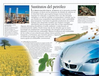 Sustitutos del petróleo
La preocupación por el aumento de la demanda mundial
de energía y el efecto de las emisiones de dióxido de carbono en
el clima han hecho que la gente busque nuevas formas de
impulsar los vehículos. La gasolina tiene una alta densidad
energética y es fácil de manejar su temperatura y presión, por lo
que resulta muy competitiva, especialmente como combustible
para transporte. Casi todos los grandes productores de coches
trabajan para desarrollar modelos que empleen energías
alternativas, pero la mayoría están aún en fase experimental.
Algunas alternativas benefician el medio ambiente y todas buscan ser
económicamente viables. Puede tomar más de dos décadas que la nueva
tecnología sea ampliamente comercializada; dos ejemplos son la tracción
delantera y la inyección de combustible. Mejorar la eficiencia del combustible
de los coches es una solución para utilizar menos petróleo en el
transporte, y la biomasa, que convierte granos y vegetación
en fuentes de energía, se presenta como una
nueva opción al combustible convencional.
60
Soja
¿COMBUSTIBLE A PARTIR
DE LA BASURA?
Cada día, los basureros reciben
ingentes cantidades de basura.
Las bacterias digieren los
alimentos y el papel y, al hacerlo,
emiten un gas que contiene un
60% de metano. Los científicos
buscan la manera de aprovechar
ese metano como fuente de
energía.
EL COMBUSTIBLE DE LAS PLANTAS
Los combustibles derivados de las plantas son energías renovables, dado
que se pueden cultivar más plantas que reemplacen a las que se
consumen. Los biocombustibles se producen transformando los
azúcares y el almidón de cultivos como el maíz o el azúcar de
caña en etanol, o transformando en biodiésel la soja, la semilla
de colza, la linaza y otras especies. Es posible obtener
metanol procesando madera o residuos agrícolas. Si cada
acre de maíz en EE UU se usara exclusivamente para la
producción de etanol, menos de un 25% de la gasolina
consumida podría reemplazarse por
ese combustible. Además, los
biocombustibles son solo un
poco más limpios que los
combustibles
convencionales.
LA FAUNA EN PELIGRO
Si el espacio agrario se extiende para dar
cabida a los cultivos que la producción de
biodiésel requiere, es muy probable que
la fauna corra peligro, por la invasión del
hábitat y el empleo de insecticidas.
Maíz
Lino
Las semillas
contienen un aceite
con un elevado
índice energético
Las habas de la soja
crecen en el interior
de estas vainas
Los hidratos de
carbono del maíz
pueden transformarse
en etanol
Colza
 