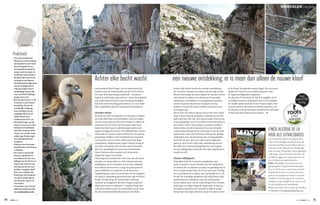 Caminito del Rey
SPANJE
>
WWW. MAG.NL 7574 APRIL
wandelen Zuid-Spanje
FINCA ALEGRIA DE LA
VIDA ALS UITVALSBASIS
De mooie,kleurrijke Finca Alegria de la
Vida is een heerlijke uitvalsbasis voor de
Caminito del Rey.In een halfuur rijd je er
naartoe en het vliegveld van Málaga ligt
even ver weg.Ook andere natuurgebieden
in de regio,zoals El Torcal en de Sierra de
las Nieves,liggen op minder dan een uur
van dit relaxte en gastvrije adres.
Prijs: afhankelijk van je keus voor een
glampingtent of gastenkamer betaal je
€ 70 tot € 80 voor 2 personen,inclusief
ontbijt.Reserveer o.v.v.Roots voor een
gratis verrassingslunch vanaf 4 nachten
verblijf of 10% korting vanaf 7 nachten.
Geldig voor een verblijf tot 31 maart 2018.
Er zijn wandelroutes ­beschikbaar.
Neem voor meer info contact op met Bert
en Margreet,­fincaalegriadelavida.com.
Gratis
lunch of 10%
korting 
LEZERS-
AANBIEDING
­spectaculaire kloof loopt, van de stuwmeren bij
Ardales naar de waterkrachtcentrale in El Chorro.
De route bleef jarenlang in gebruik – kinderen
­liepen er zelfs langs naar school – maar door ­gebrek
aan onderhoud werd de route steeds gevaarlijker.
Rond de eeuwwisseling gebeurden er zo veel dode­
lijke ongelukken dat de Caminito werd gesloten. 
Gouden rotsen
Al heeft de route weinig met een koning te maken,
de tocht heeft wel iets koninklijks. Aan het begin
van de route, waar de kloof het smalst is, lijken de
rotsen heel in de verte wel van goud. Daar weer­
kaatst het licht van de okerkleurige wand op de
­tegenoverliggende rotsen. Het blikkerende, warme
licht trekt me steeds verder de kloof in. De meeste
wandelaars hebben zich inmiddels wat verspreid ­
en ik geniet van de serene stilte tussen de hoge
rotswanden. Majestueuze vogels cirkelen hoog in
de lucht: vale gieren die zweven op de thermiek.
Met een spanwijdte tot meer dan tweeënhalve
meter behoren deze aaseters tot de grootste
­vliegende vogels ter wereld. 
Ook aasgieren komen hier veel voor, net als steen­
arenden en wespendieven. Het natuurreservaat
Desfiladero de los Gaitanes is een waar walhalla
voor allerlei diersoorten. Langs het pad speur ik
naar amfibieën en reptielen, in de hoop een
hagedis­slang te zien. Geen familie van de hagedis;
de slang is simpelweg genoemd naar zijn favoriete
kostje. Ik kijk langs de rotswanden omhoog,
­bedacht op berggeiten die deze hogere regionen
delen met vossen en dassen. ’s Nachts sluipt hier
zelfs de genetkat rond, een familielid van de civet­
kat die oorspronkelijk afkomstig is uit Afrika. 
Praktisch
• Voor de Caminito del
Rey dien je via de website
een kaartje te reserveren
dat recht geeft om op
een ­bepaald moment te
­starten met de route.Zo
wordt het niet te druk in
de kloof.Het reserveren
­verloopt in het Spaans,
de Nederlandse eigenaren
van Finca Alegria de la
Vida (zie kader Lezers­
aanbieding) nemen dat
voor een kleine bijdrage
graag van je over.
• Een kaartje kost € 10. De
Caminito is een lineaire
wandeling.Tussen de
noordelijke toegangs-
poort (Ardales) en de
­zuidelijke (El Chorro)
­rijden bussen.Een
­buskaartje kost € 1,55.
• De totale lengte van de
route is 7,7 km,zo’n 3 km
bestaat uit vlonderpad.
Voor de complete route
staat 2 uur,zonder stops
onderweg.Onderweg is
een schaduwrijk pick-
nickpunt.
• Parkeren kan het beste
bij El Mirador of El Kiosko
in Ardales. 
• De route is ook bereik-
baar per openbaar ver-
voer.Neem de trein van
Málaga naar El Chorro en
stap in het centrum van
het dorp op de bus naar
Ardales.Vraag de chauf-
feur om te stoppen bij
El Mirador.Het eindpunt
van de Caminito ligt op
een kwartier lopen van
het station.
• Controleer voor vertrek
altijd de actuele situatie
op caminitodelrey.info. 
Achter elke bocht wacht een nieuwe ontdekking. ­
De Caminito bestaat niet alleen uit de hoge nauwe
kloof; halverwege de route wijken de wanden uiteen
om ruimte te maken voor de groene Hoyovallei.
Pijnbomen, steeneiken en eucalyptussen groeien
tussen de jeneverbessen en Europese dwerg­
palmen. Tussen de stenen richten rotsrozen hun
tere kopjes op. 
Het is ook niet alleen natuur wat je hier ziet: onder
mijn voeten vang ik geregeld een glimp op van het
pad zoals het ooit was. Het nieuwe pad is boven het
oude aangelegd, om de vervallen route met opzet in
het zicht te laten. Verwrongen metaal en stukken
beton steken uit de bergwand. Een mooi staaltje
constructietechniek uit de eerste jaren van de twin­
tigste eeuw, maar het herinnert ook aan de akelige
valpartijen waar de kloof nog niet zo lang geleden
berucht om was. Af en toe zijn er grote gapende
gaten te zien in het oude pad, metershoog boven ­
de vallei. Een herinneringsplaquette van jongens
uit het nabijgelegen dorp die hier zijn omgekomen,
maakt me stil.
Glazen uitkijkpunt 
Nog altijd trekt de Caminito waaghalzen aan, ­
maar ik probeer niet te denken aan de halsbreken­
de ­toeren die ze uithalen en prijs me gelukkig dat ik
hier in mijn eentje loop. Ik ervaar weer hoe heerlijk
het is om gewoon te lopen, hoe natuurlijk het is. Ik
verstil, de onnodige gedachten die altijd door mijn
hoofd dansen verdwijnen naar de achtergrond. 
In het laatste deel van de route slingert het vlonder­
pad hoger en hoger langs de bergwand. Ik stap op
het glazen platform met uitzicht en kijk zó langs
het puntje van mijn schoenen naar het water onder
in de kloof, honderden meters lager. Als een soort
laatste rite steek ik een smalle brug over naar ­
de ­tegenoverliggende bergwand. 
En dan ben ik de kloof uit. Als ik terugkijk, zie ik
een bijna massieve bergwand, met in het midden
de smalle spleet waaruit ik ben komen lopen. Net
enorme deuren die achter me dicht schuiven, om
de schatten van de koning te beschermen. Jammer,
ik had nog uren door kunnen lopen.   
Achter elke bocht wacht een nieuwe ontdekking; er is meer dan alleen de nauwe kloof
ISTOCK
Vale gier
 