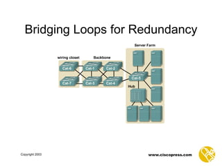 Bridging Loops for Redundancy 