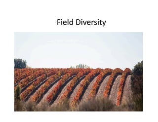 Field	
  Diversity	
  
 