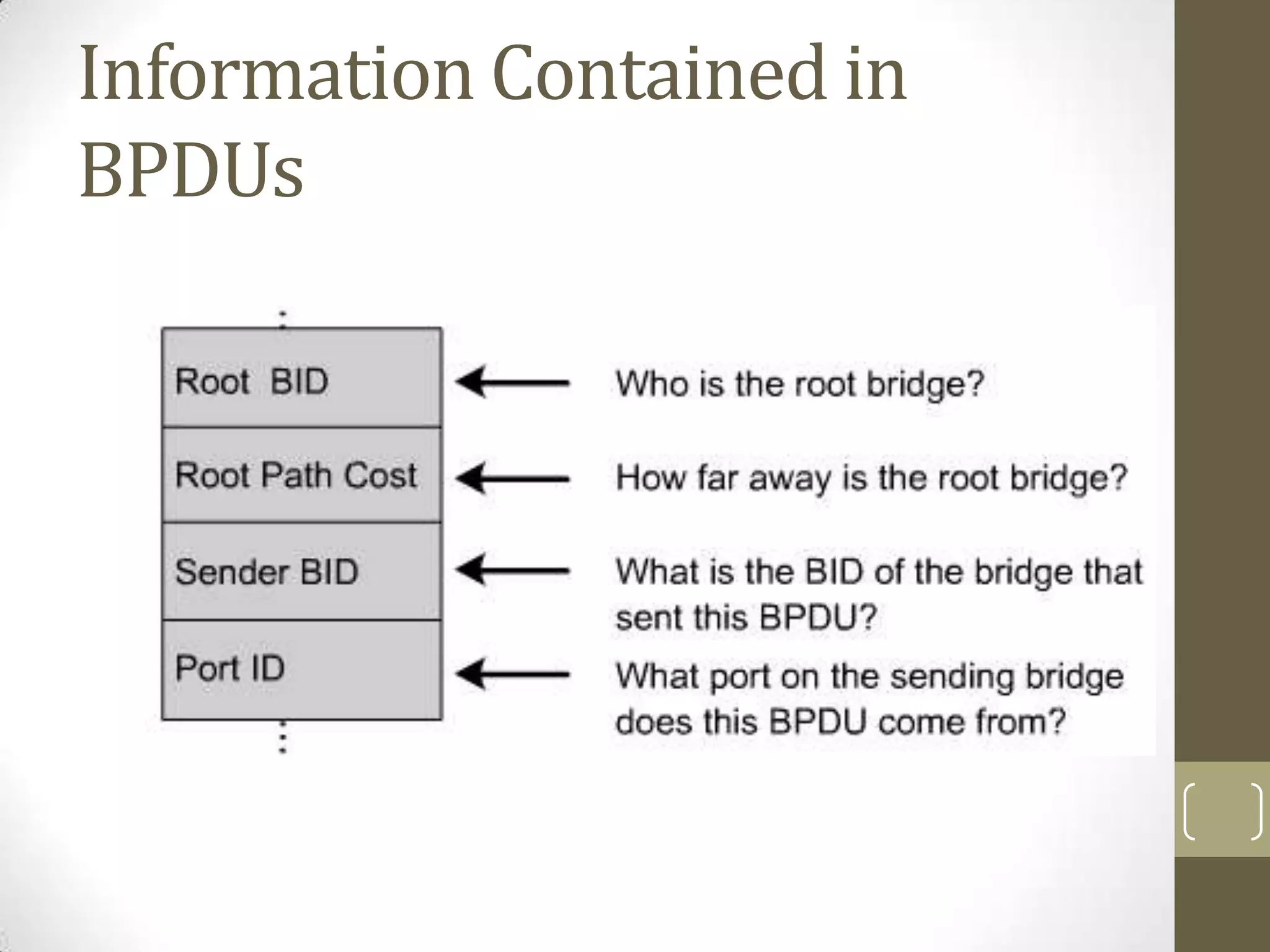 Information Contained in
BPDUs

 