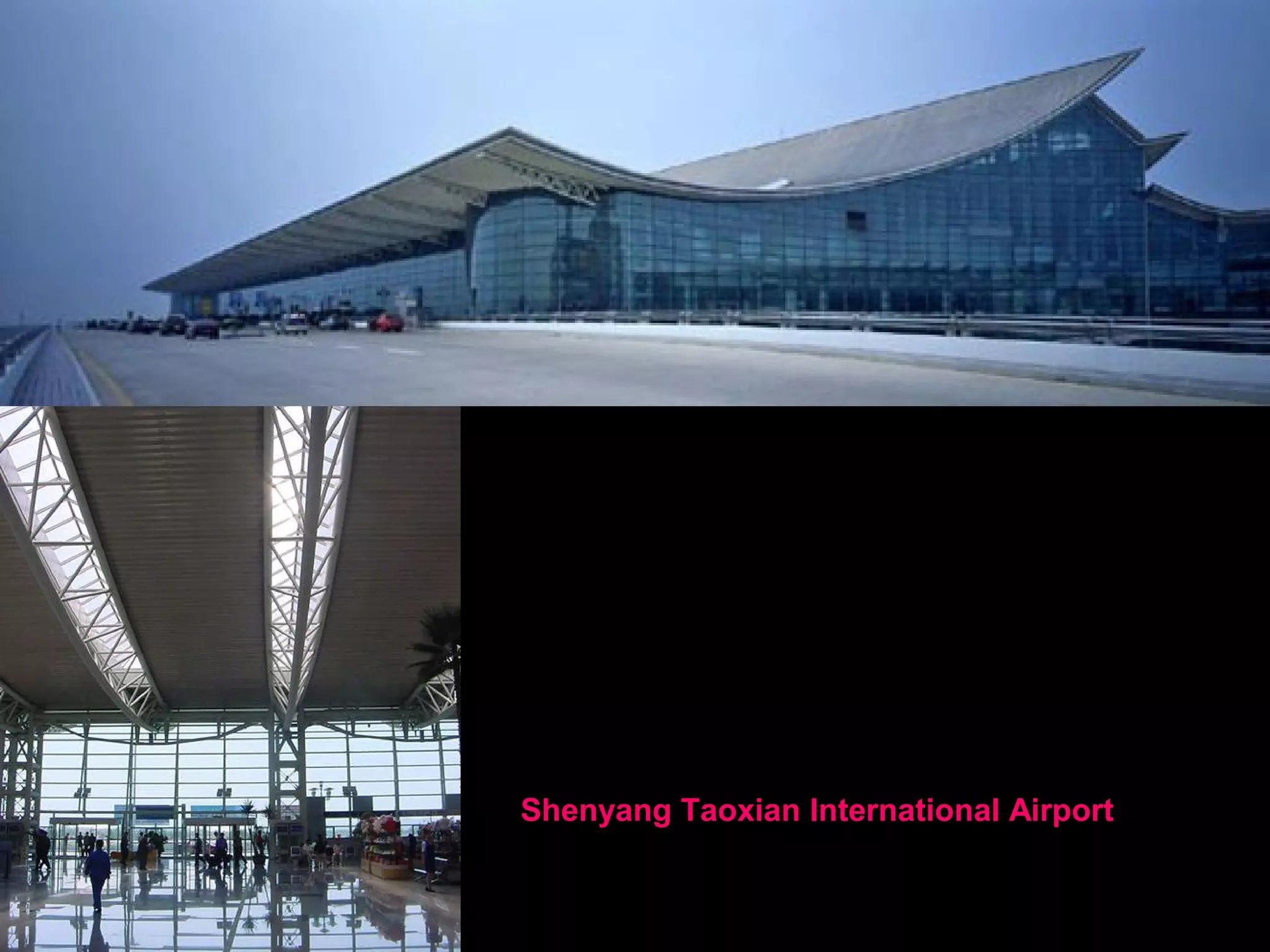 Single-layer space frame roofs
 