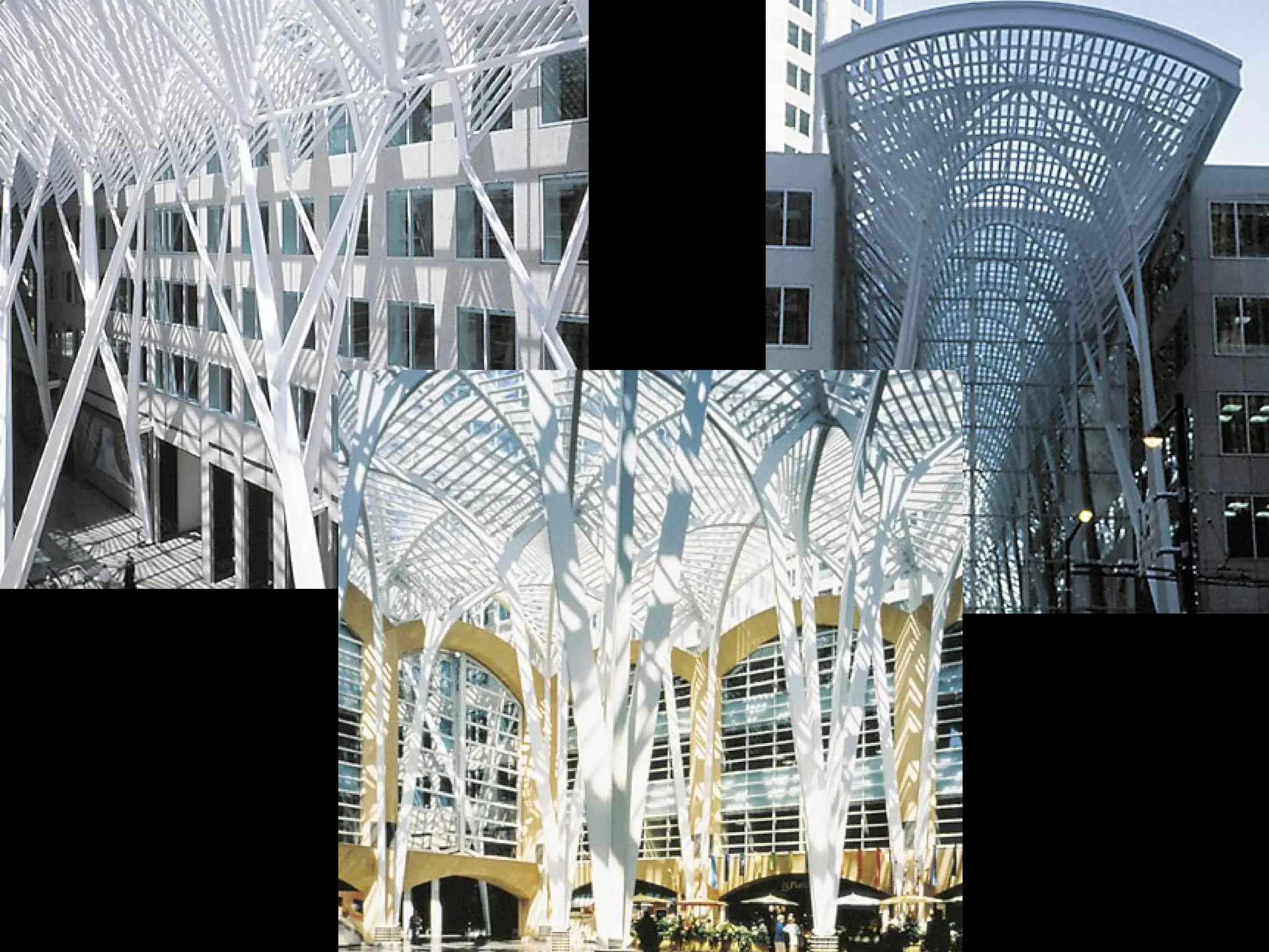 Study of curvilinear patterns
 