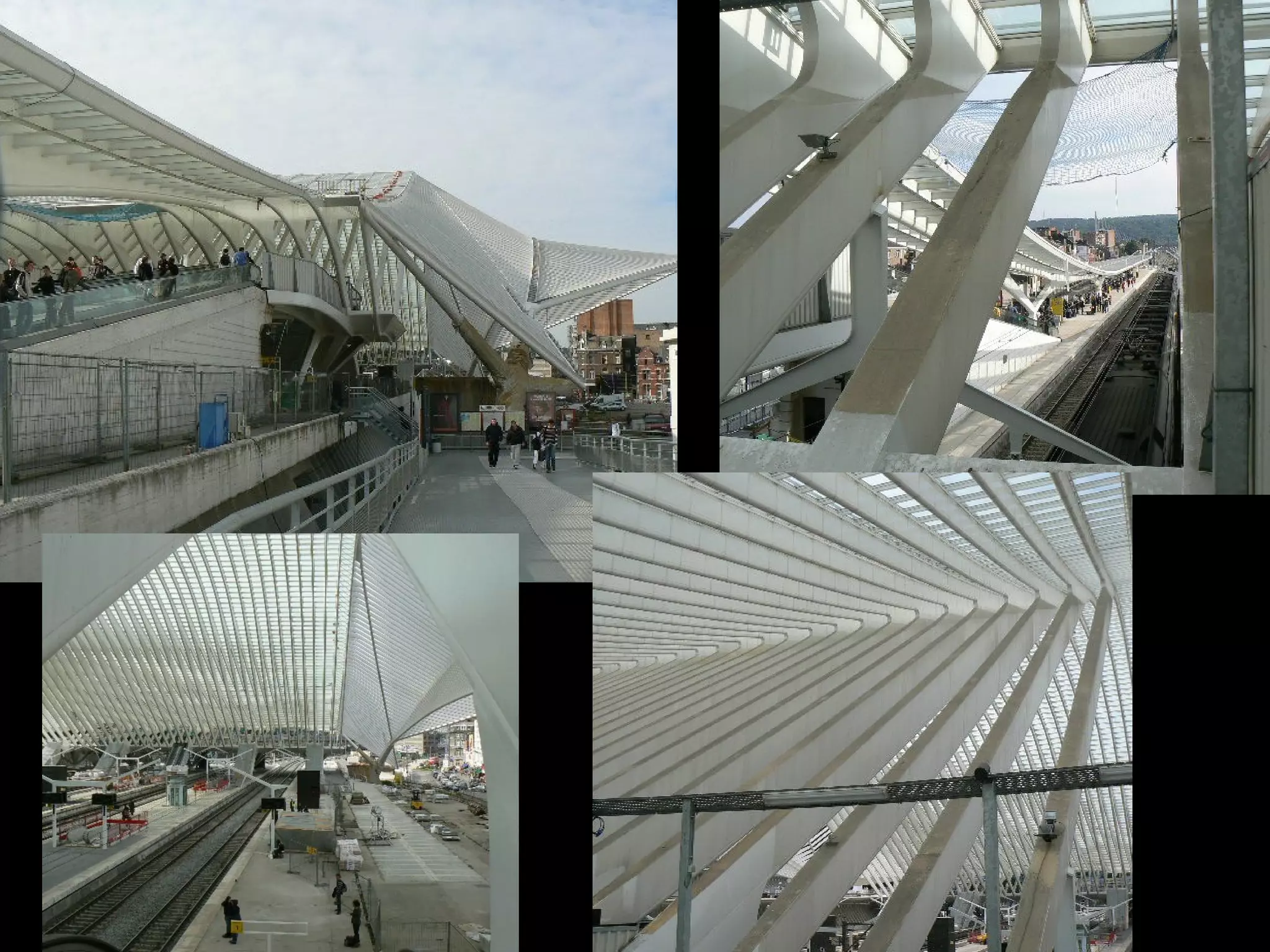 Satolas Airport TGV Train
Station, Lyons, France, 1995,
Santiago Calatrava
 