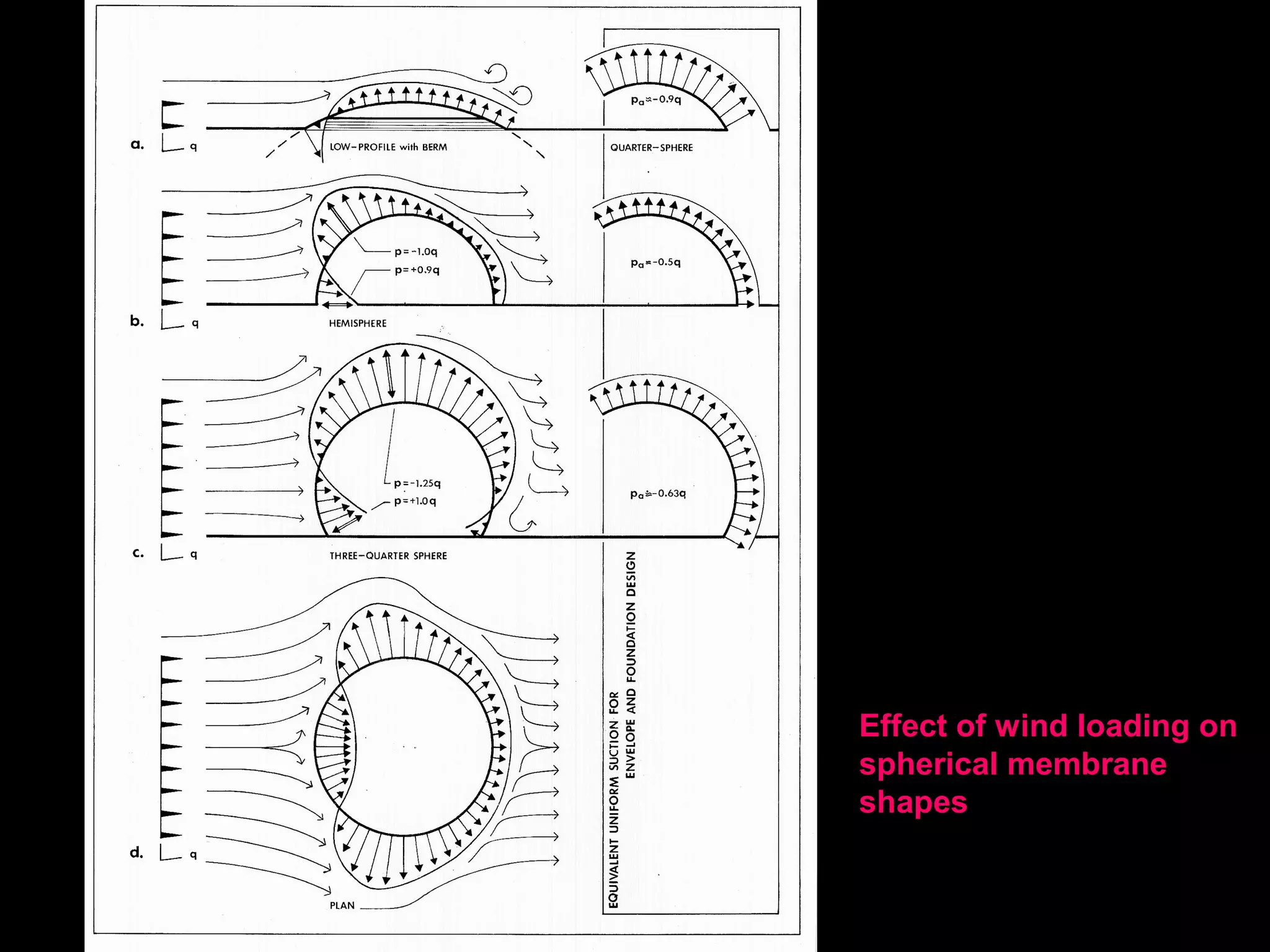 Surface
structures in
nature
 