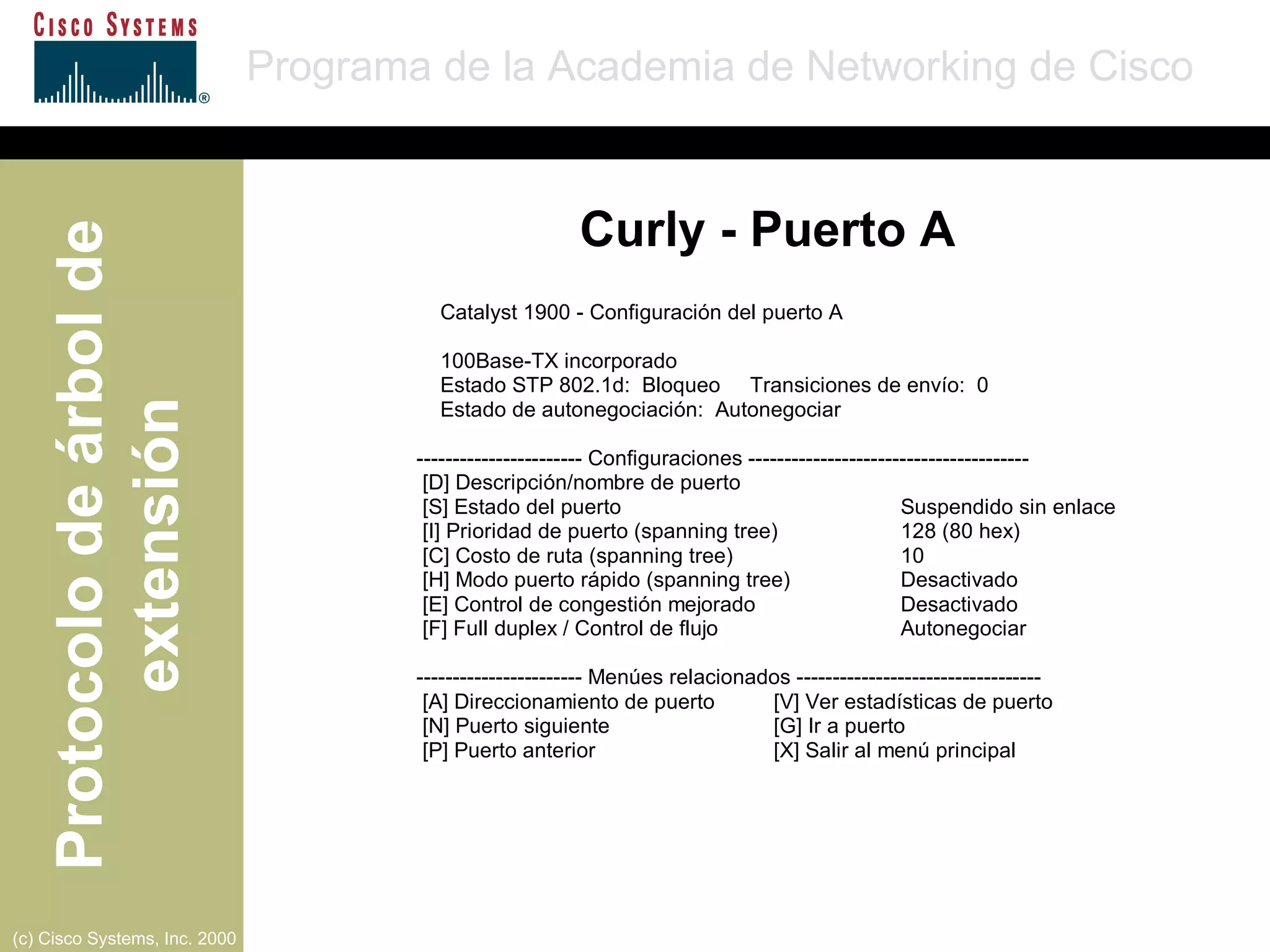 Curly - Puerto A 