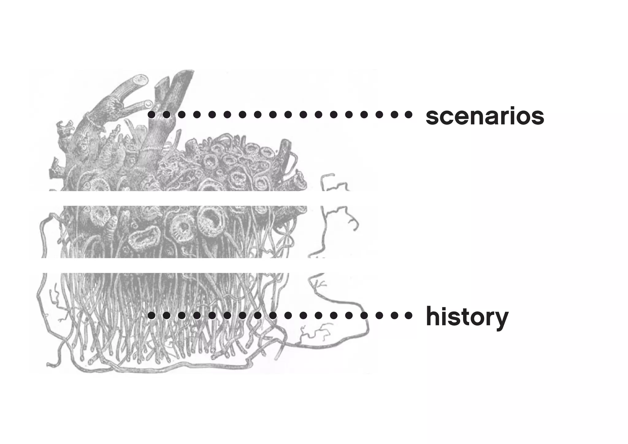 scenarios




history
 