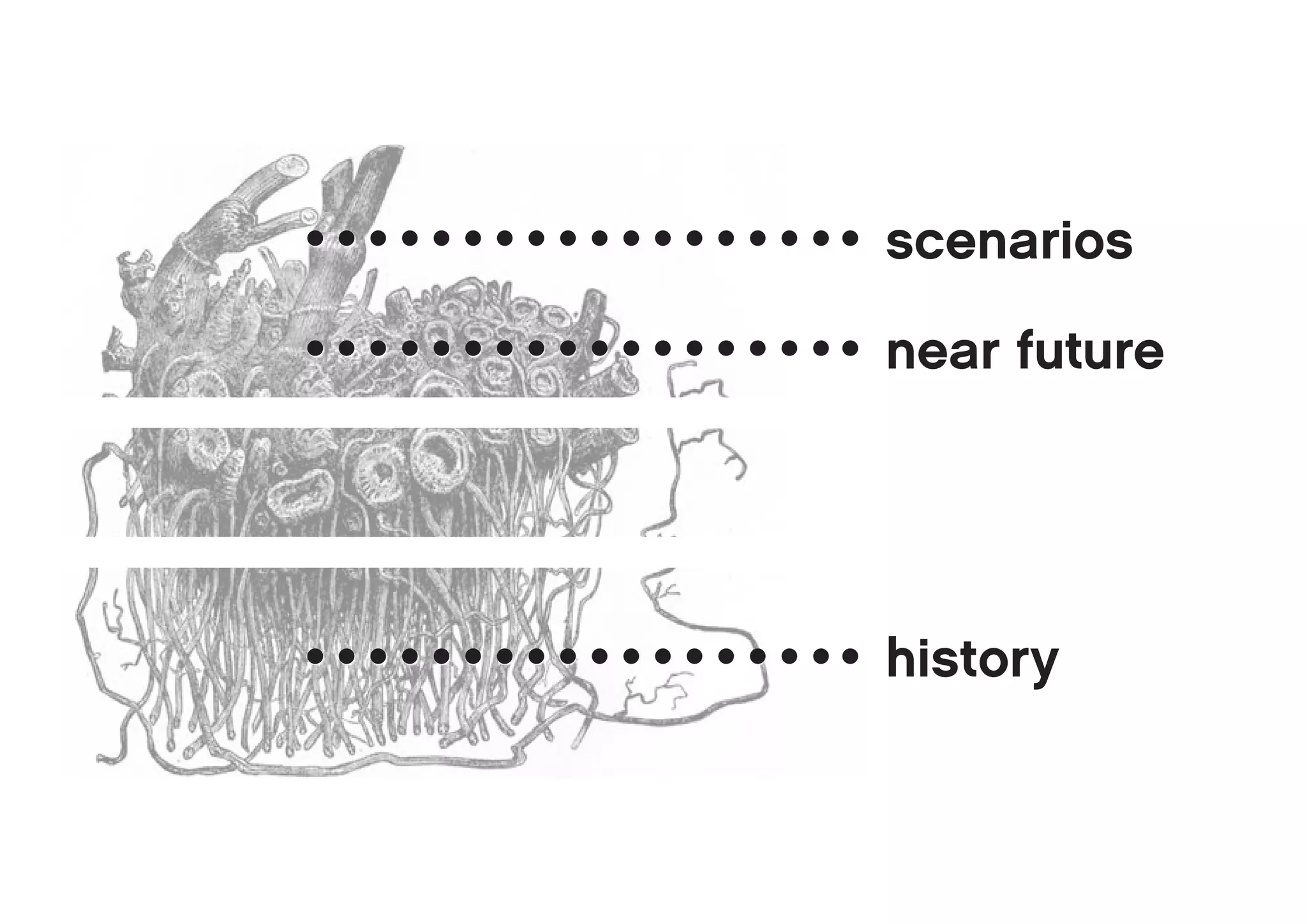 scenarios

near future




history
 