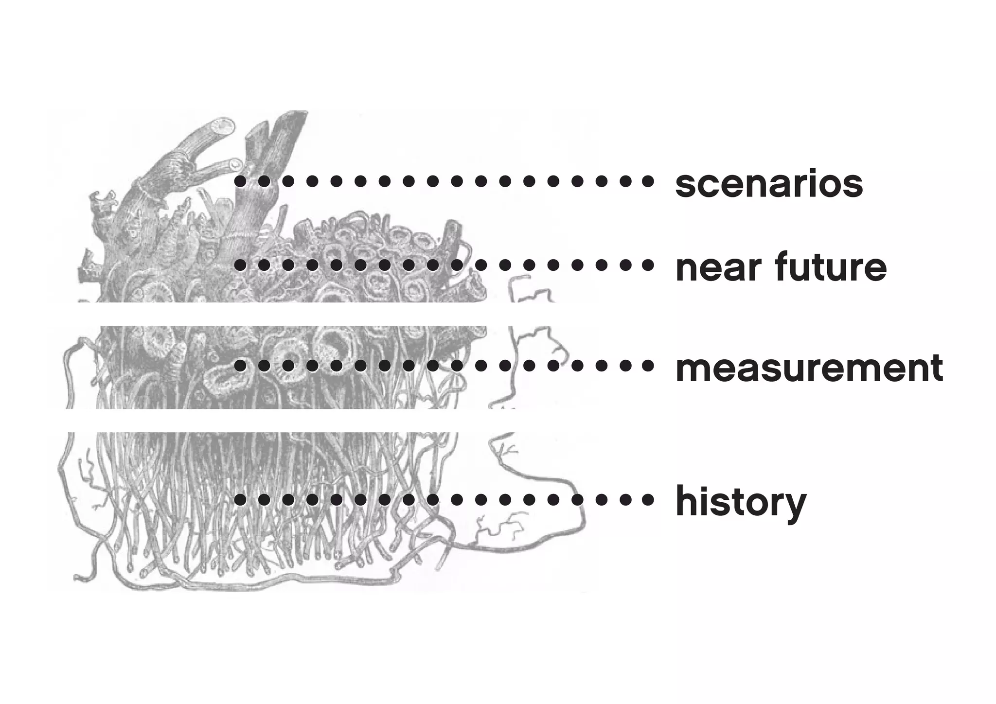scenarios

near future

measurement


history
 