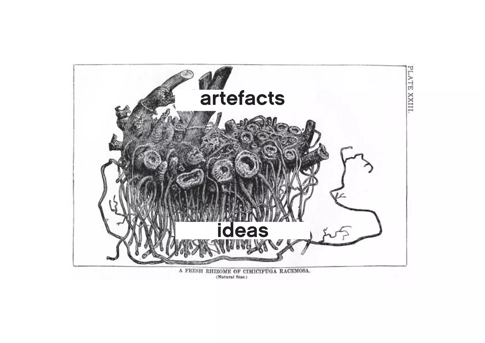 artefacts
ARtefacts




 ideas
 