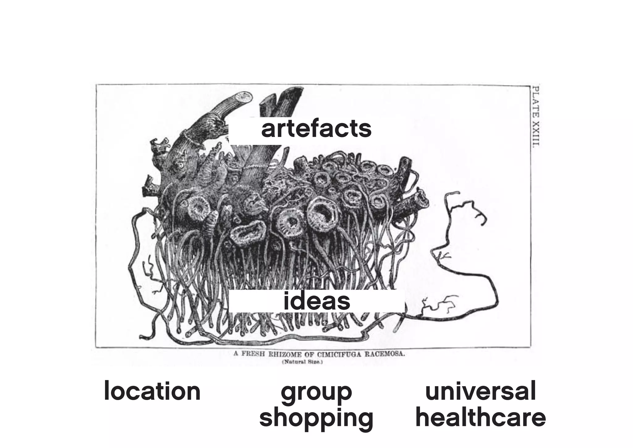 artefacts
           ARtefacts




            ideas


location     group      universal
           shopping    healthcare
 