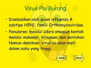 Virus Flu Burung Disebabkan oleh avian influenza A  subtipe H5N1 , famili Orthomyxoviridae.  Penularan;  melalui udara ataupun kontak melalui makanan, minuman, dan sentuhan. Namun demikian, virus ini akan mati dalam suhu yang tinggi. Back Next 